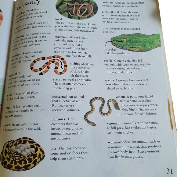 Snakes - Hard Back Book - Picture 4 of 5
